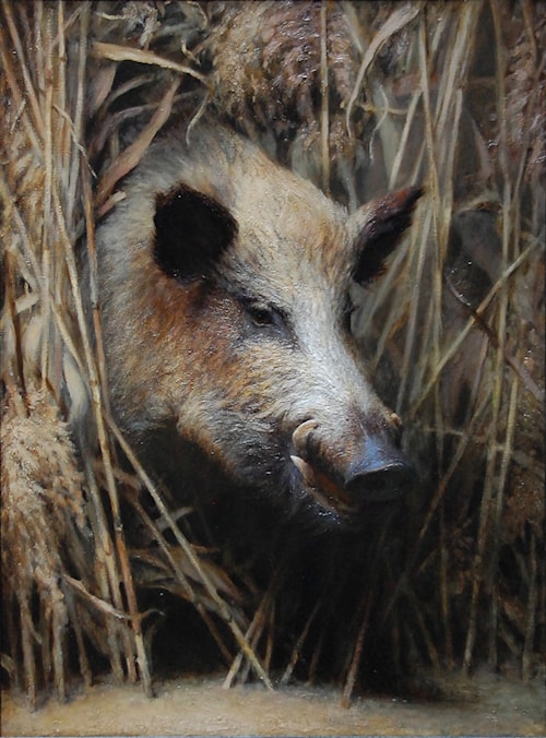 The Boar